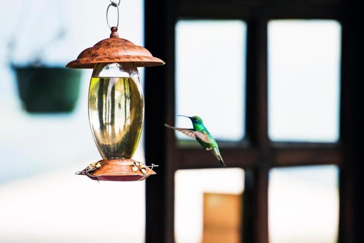Hacienda El Rejo Villa Machachi Ngoại thất bức ảnh