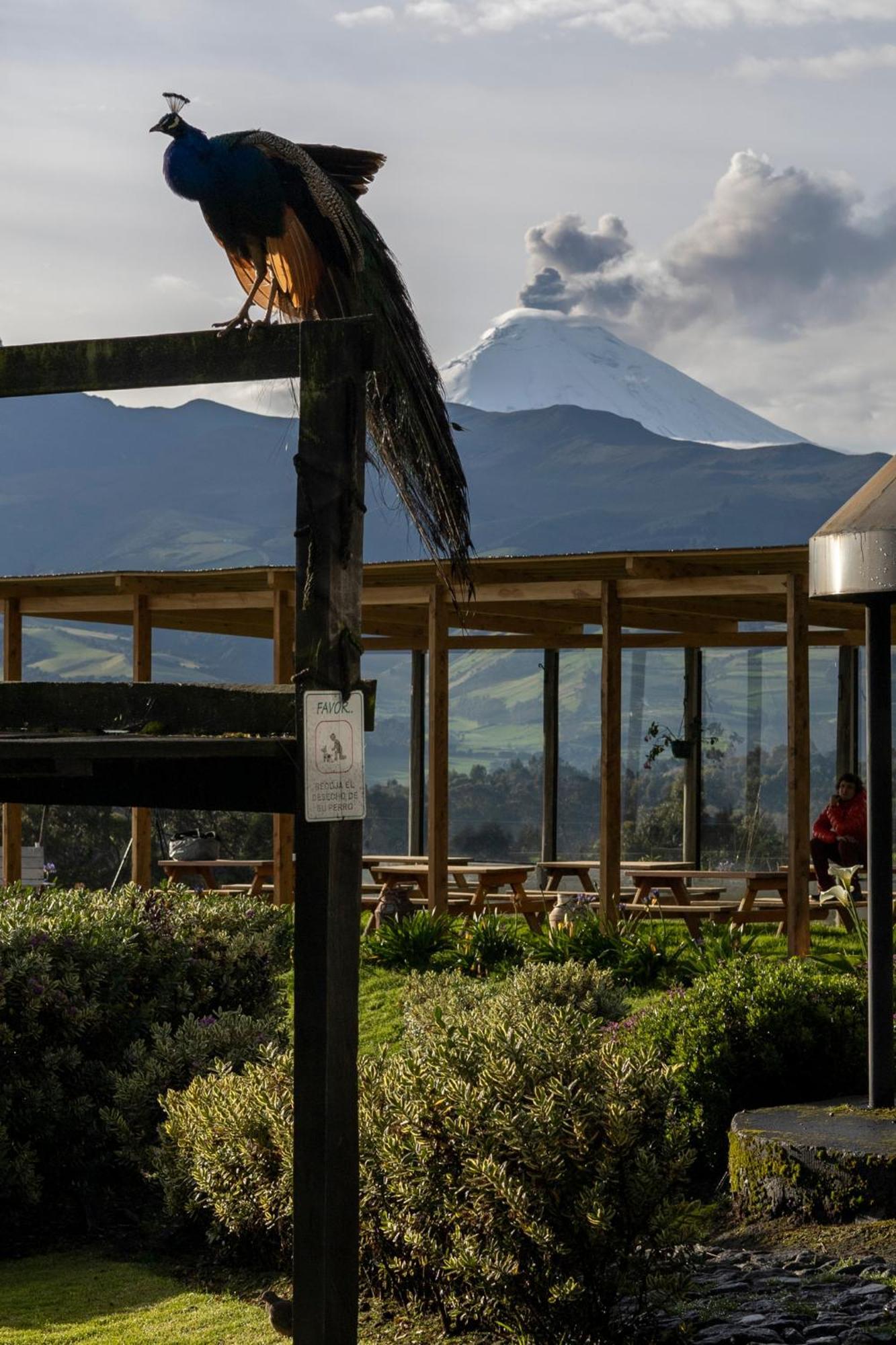 Hacienda El Rejo Villa Machachi Ngoại thất bức ảnh