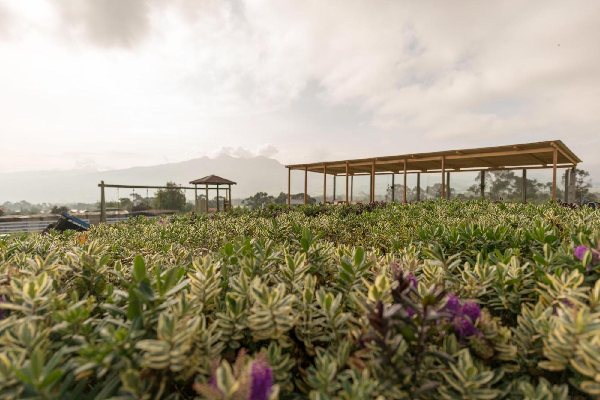 Hacienda El Rejo Villa Machachi Ngoại thất bức ảnh